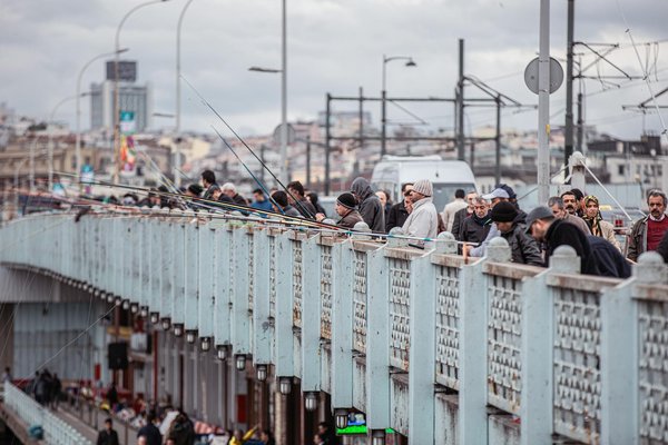 Découvrez la magie des croisières dans les îles nordiques