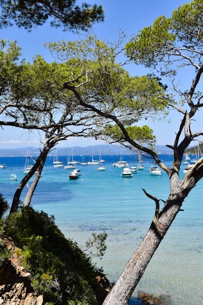 Comment rejoindre porquerolles depuis hyères en toute simplicité